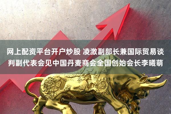 网上配资平台开户炒股 凌激副部长兼国际贸易谈判副代表会见中国丹麦商会全国创始会长李曦萌